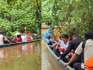 Panen Raya Jagung 75 Hektar Di Desa Tetehaka Puriala. Bupati Wabup Konawe Susuri Sungai Naik Katinting