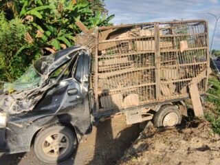 Pikap Pengangkut Ayam Tabrak Tiang Listrik, Diduga Ban Pecah. Kondisi Mobil