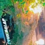 Mobil Box Pengantar Paket Alami Laka Tunggal di Uepai Kabupaten Konawe. Mobil Terbalik Hingga Tabrak Pohon