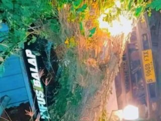 Mobil Box Pengantar Paket Alami Laka Tunggal di Uepai Kabupaten Konawe. Mobil Terbalik Hingga Tabrak Pohon