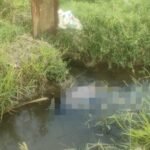 Tragis, Jasad Balita Ditemukan Di Saluran Irigasi Kabupaten Konawe. Diduga Tenggelam Saat Hendak Mandi