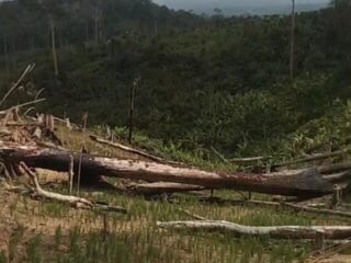 Warga Soroti Dugaan Pelanggaran Perusakan Hutan Taman Nasional Rawa Aopa Sultra. Desak Aparat Hukum Tindaki