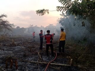 Niat Bersihkan Lahan, 7 Hektar Kawasan Hutan Hangus Terbakar Di Pondidiha Konawe. Kapolres Imbau Masyarakat Jaga Lingkungan